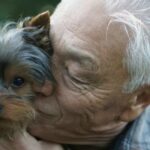Hund rettet Senior aus Auto über Nacht
