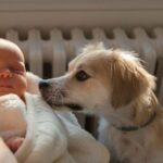 Hund, der Eltern mit neugeborenen Zwillingen hilft, wird auf TikTok viral