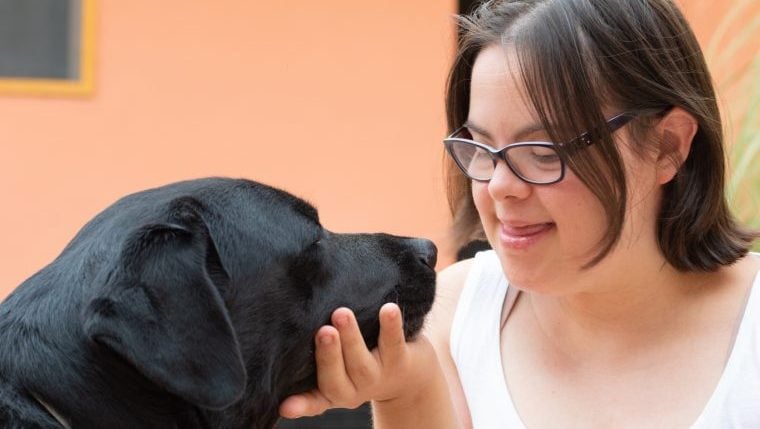 Dog Daycare verdoppelt sich als Ausbildungsstätte für berufliche Fähigkeiten
