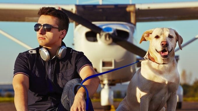 Hund ausgesetzt, adoptierter Pilot