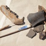 In Jamestown ausgegrabene einheimische Hundeknochen