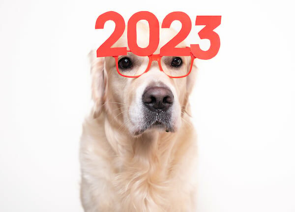 5 von Hunden inspirierte Neujahrsvorsätze für 2023