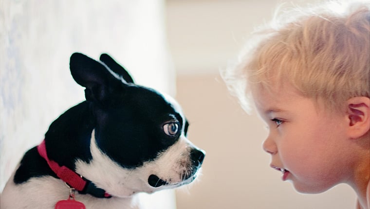 Kleinkinder entscheiden sich instinktiv dafür, Hunden zu helfen und Funde zu studieren