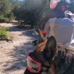 Frau reist mit dem Deutschen Schäferhund auf dem Motorrad um die Welt