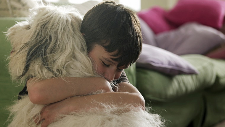 Hund zur emotionalen Unterstützung wieder mit der Familie vereint
