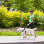 TikTok Blindenhunde zum 104-jährigen Jubiläum von The Seeing Eye
