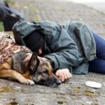 Tierheim bringt Hund nach Obdachlosigkeit wieder mit Eltern zusammen