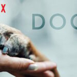 Netflix ‚Dogs‘ Staffel 1 Folge 1 Zusammenfassung