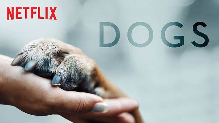 Netflix ‚Dogs‘ Staffel 1 Folge 1 Zusammenfassung