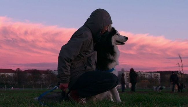Ein Screenshot aus der Netflix-Serie „Dogs“