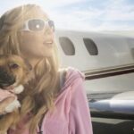 Hundeeltern geben 45.000 US-Dollar aus, um Hunde auf einen privaten Jet-Trip mitzunehmen