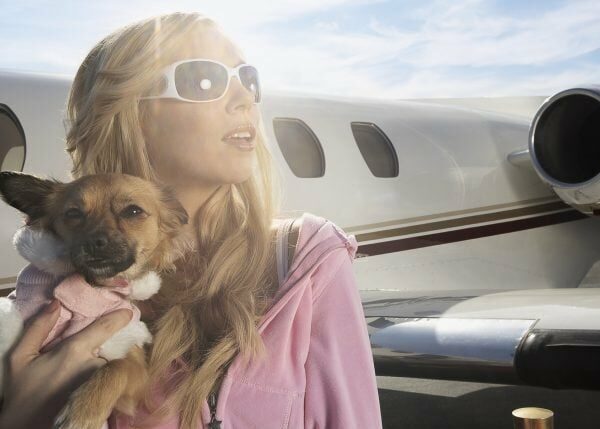 Hundeeltern geben 45.000 US-Dollar aus, um Hunde auf einen privaten Jet-Trip mitzunehmen
