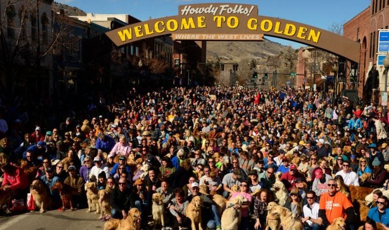 Golden Retriever ziehen für das „Goldens in Golden“-Event in die Straßen von Colorado