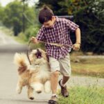 11-jähriger Junge mit Hund zur Crufts