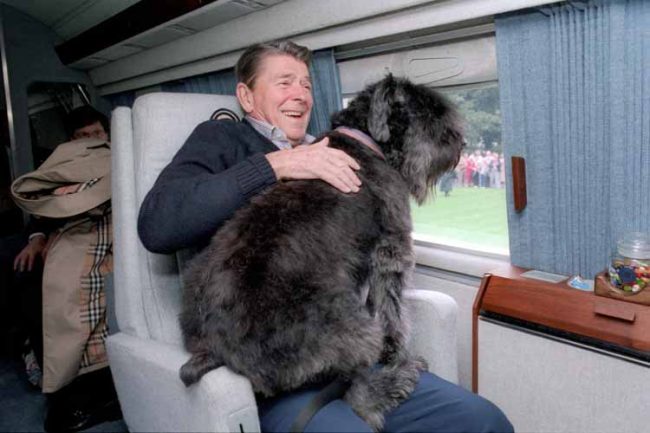 Ronald-Reagan-Hund