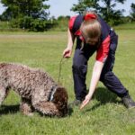 Alle Hunde lernen neue Tricks bei Dufttrainingsseminaren