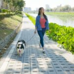 Hundemama und Collie zu Fuß, um Spenden für Dogs Trust zu sammeln
