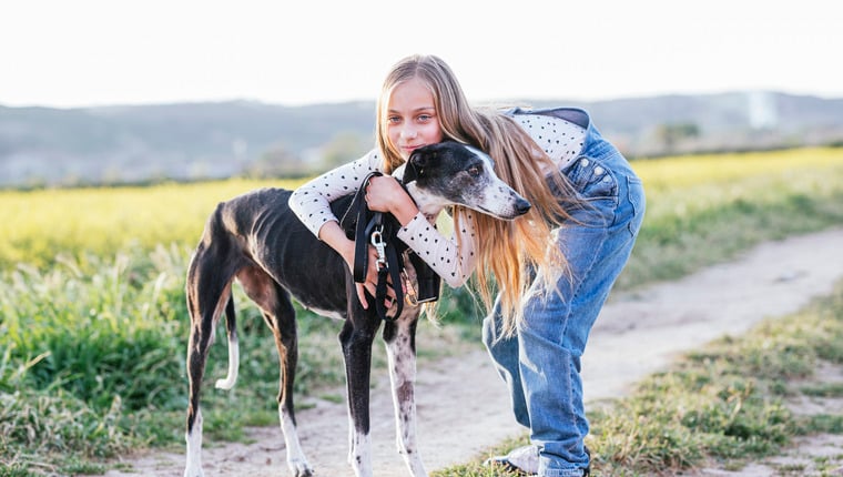 Greyhound im Ruhestand hilft Mädchen, ihre Hundephobie zu überwinden