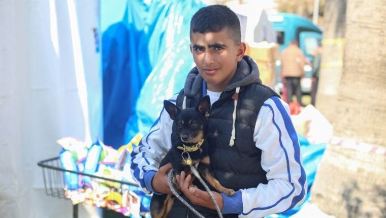 Rettungskräfte retten zwei Wochen nach dem Erdbeben in der Türkei immer noch Hunde aus Trümmern