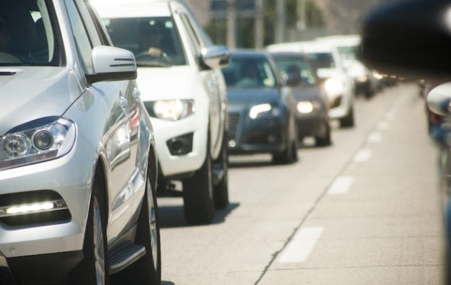 Hund auf Autobahn gerettet