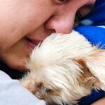 Tierheim vereint einen Hund mit einem obdachlosen Besitzer