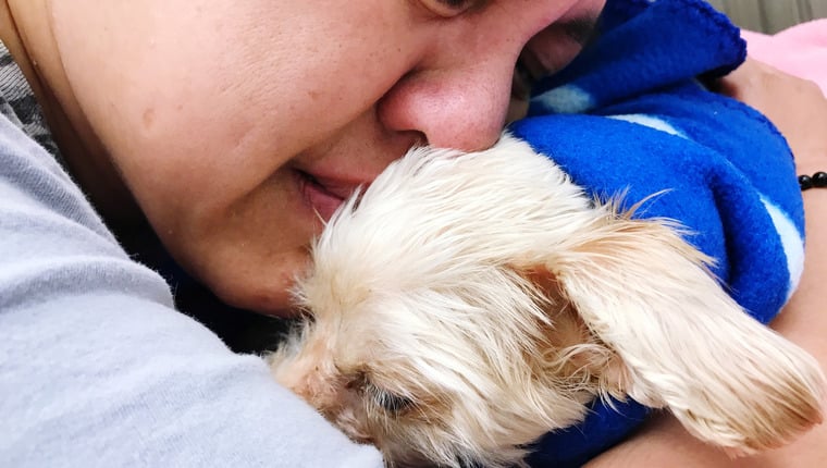 Tierheim vereint einen Hund mit einem obdachlosen Besitzer