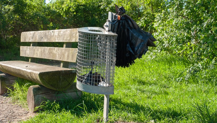 Sollte NYC den Weg für die Kompostierung von Hundekot in Großstädten weisen?
