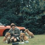 Von Corgis bis Beagles: Die Hunde der königlichen Familie