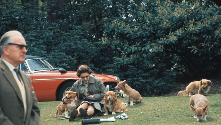 Von Corgis bis Beagles: Die Hunde der königlichen Familie