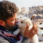 Über einen Monat später rettet PETA immer noch Hunde in der Türkei