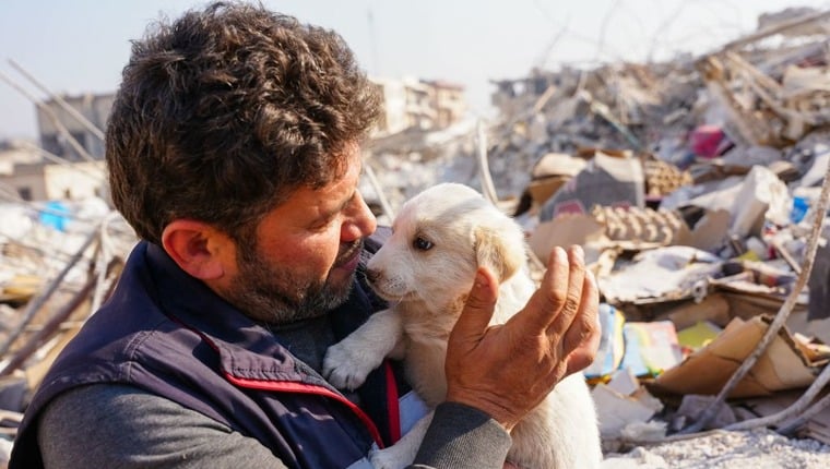 Über einen Monat später rettet PETA immer noch Hunde in der Türkei