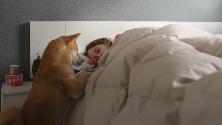 Laut einer Studie leiden Hundebesitzer häufiger an Schlafstörungen
