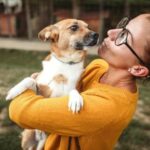Tierheim vs. Rettung: Wo sollten Sie Ihren nächsten Hund adoptieren?