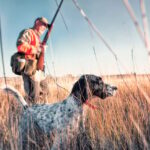 Hundebesitzer klagt gegen SC-Jagdgesetz