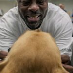 Magic City K9 lehrt Insassen, zertifizierte Hundetrainer zu werden