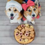 Corgis Hammy und Olivia veröffentlichen das Snackboard-Kochbuch „Barkcuterie“.