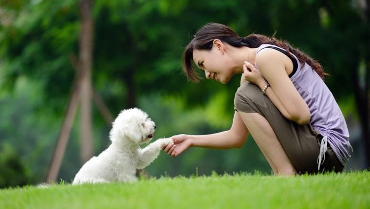 Hundestudie zeigt, dass kulturelle Rollen vorhersagen, wie Welpen behandelt werden