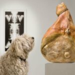 Griechisches Kunstmuseum lädt Hunde zum Welttag der streunenden Tiere ein