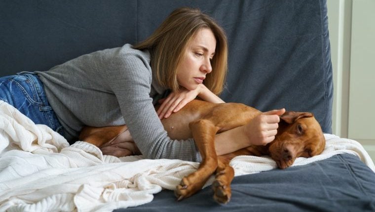 5 häufige Dinge, für die sich Hundebesitzer schuldig fühlen