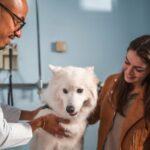 Ein vollständiger Leitfaden zu den Kosten für Tierarztbesuche für Hundebesitzer