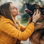 Frau und Hund 6 Monate nach Unfall wieder vereint