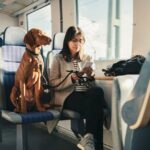 Tipps für das Reisen mit dem Zug mit Ihren Hunden