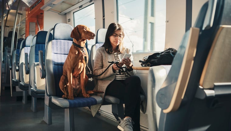 Tipps für das Reisen mit dem Zug mit Ihren Hunden