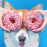 Die besten Hundenamen zum Thema Essen für Ihren Hund