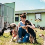 30 Hunde aus unhygienischem Zuhause gerettet