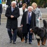 Der Hund des irischen Präsidenten, Brod, stirbt im Alter von 11 Jahren