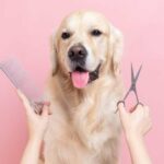 Vorteile von Bio-Hundepflegeprodukten