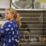Hund nach E-Mail-Missgeschick im Tierheim eingeschläfert