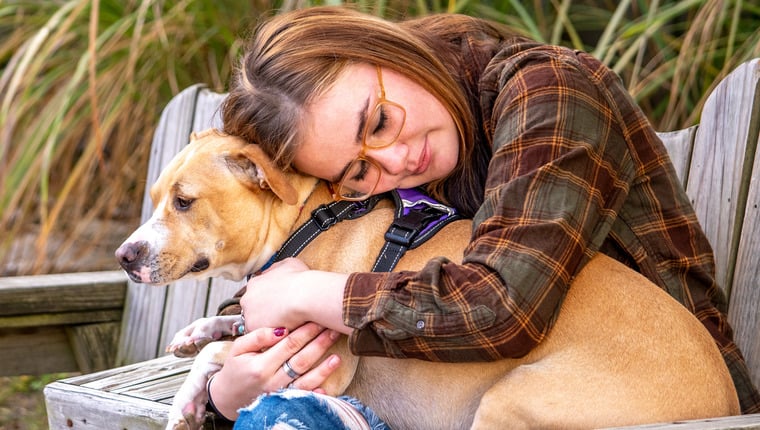 Hund, der Schläge überlebt hat, wird Therapiehaustier
