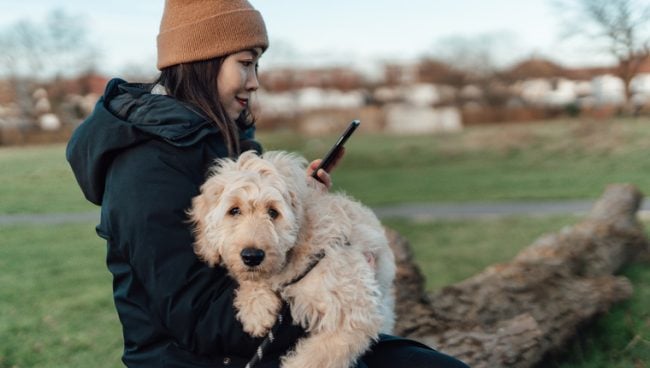 Eine Frau scrollt auf ihrem Smartphone, während sie ihren Hund wiegt.